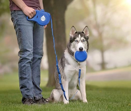 5 en 1 essentiels pour animaux de compagnie